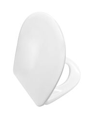 Сиденье с крышкой с микролифтом для унитаза Ideal Standard AREAL белое W302301