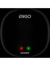 ������������� �������� ���� Zigbee ��� ENGO Smart EGATEZB