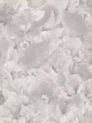 ���� ��������� �� ��������� Wiganford Teodoro (1,06�10,05) ������, �����, WG5115 (���.)