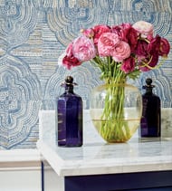 ���� ��������� �� ��������� Thibaut Colony (1,00*8,22) ������� T10249 (�����)