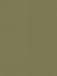     Rasch Salsa (0,5310,05)  452068 (.)