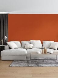 ���� ��������� �� ��������� Rasch Florentine II (0,53�10,05) ������� 448573 (���.)