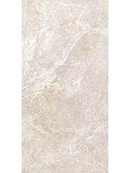 ������ ��������� Alma Ceramica Persey (249x500) ������� TWU2550PRS40 (��.�)
