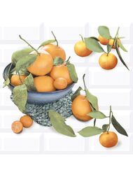 ����� AZORI VOGUE Citrus 2 (402�405) ������������ (��.)