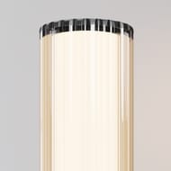 ��������� ���������� Maytoni Rib (���) O502WL-01B, E27x1 23�� IP 65, ������