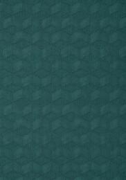 ���� ��������� �� ��������� Thibaut Modern Resource 2 (0,99*8,22) ������� T10424 (�����)