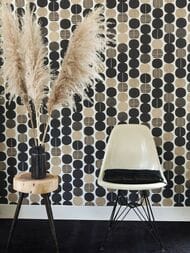     Rasch Amazing (0,5310,05)  539738 (.)