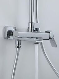 ������� ������� � ���������� �������-��������������, ������ � ������� ����� , FRAP ����, F2484