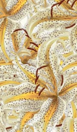 Панно Marburg Smart Art 46715 (1,59х2,70) цветы, желтое (рул.)
