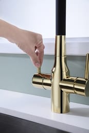 ��������� ��� ����� SALIX, ������, Sa213419-G, Paulmark