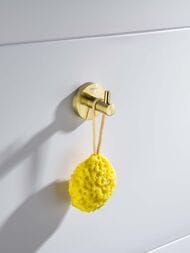    Aquatek  AQ4101BG , :  