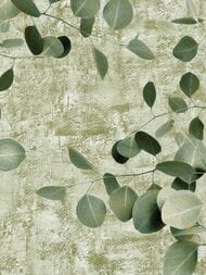 ����� Zambaiti Savana (3,0�5,1) ����� �� ���������, �������, 77598 (���.)