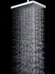 ������� ������� � ���������� �������-��������������, ������ � ������� ����� , FRAP ����, F2484