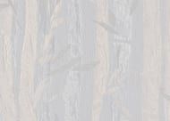     Armani / Casa Refined Structures 2 (1,0010,05)  9503 GA5 ()))