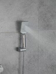 ��������� ��� ����� � ������� � ���������� , FRAP ����, F2261