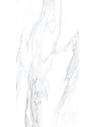 ������ ��������� Alma Ceramica Vegas (249x500) ����� TWU09VEG007 (��.�)