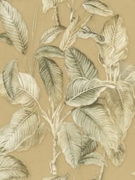 ���� ��������� �� ��������� Rasch Back to Nature (0.53x10.05) �����, ������ 571479 (���.)