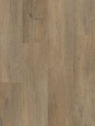  - SPC Tarkett Future House Gregor (200,81220) 23/33 , . (..)