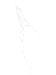 ������ ��������� Alma Ceramica Amarant (300x900) ����� TWU3090AMT07R (��.�)
