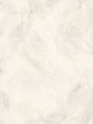 ���� ��������� �� ��������� Solo Orion (1,06�10,00) ������-�������, ��� ���������� A3204-1 (���.)