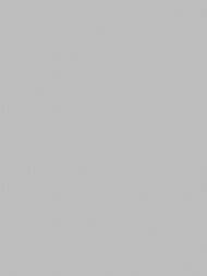 ���� ��������� �� ��������� Wiganford All time Trend Art (1,06�10,05) �����, WG0501 (���.)