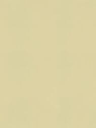 ���� ��������� �� ��������� Solo Feerie (1,06�10,00) ������-�������, ��������� 3504-19 (���.)