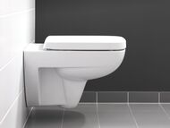 ������ ��������� Geberit Renova Plan (360�540�340) 4.5/6� 202150000