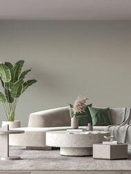 ���� ��������� �� ��������� Wall Up Step-Up (1.06x10.05) ���������, ������� W185012 (���.)