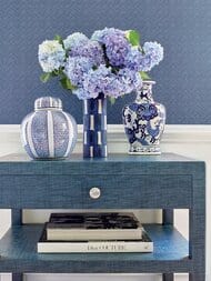 ���� �������� Thibaut Paramount (0,52�10,06) ����� T2990 (�����)