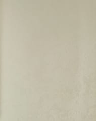 ���� ��������� �� ��������� Solo Fashion I (1,06�10,00) ������ �����-�������, 240511 (���.)