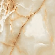   Laparet Draco (8008009) ,  (..)