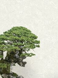 ���� ��������� �� ��������� Decori-Decori Zen (1,06�10,05) �����, ��� ���������� 72965 (���)