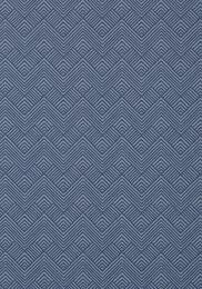 ���� �������� Thibaut Paramount (0,52�10,06) ����� T2990 (�����)