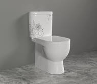 ������ ������� Sanita Luxe ART FLORA DM (630x345x755) ������� �� ���������� soft close (������ ����)