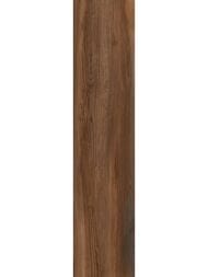 ��������������� ������ Alma Ceramica Ironwood (200x900) ���������� GFA92IRW48R (��.�)
