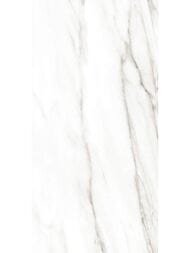 ������ ��������� Alma Ceramica Euphoria (249x500) ����� TWU2550EPH04 (��.�)
