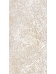 ������ ��������� Alma Ceramica Persey (249x500) ������� TWU2550PRS40 (��.�)