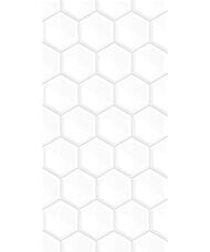 ������ ��������� Alma Ceramica Bilbao (249x500) ����� TWU09BLB010 (��.�)