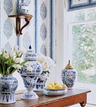   Thibaut Colony (0,698,22)  T10239 ()