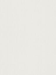 ���� ��������� �� ��������� Erismann Spotlight 2 ER12205-01 (1,06�10,05) ����� (���.)