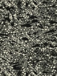 ���� ��������� �� ��������� ROBERTO CAVALLI Home 8 (1,06�10,05) �����, ������ 19036 (���.)