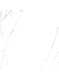 ��������������� ������ Alma Ceramica Carrara (600x600) ����� GFU04CRR00R (��.�)