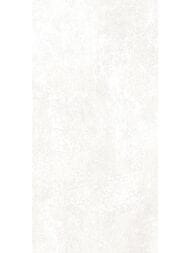 ������ ��������� Alma Ceramica Piemonte (249x500) ����� TWU09PMT004 (��.�)