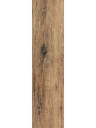 ��������������� ������ City Brigantina Oak BG01 (146�600) ����������, �������������� (��.�.)