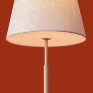 ���������� ���������� Freya Butler (������) FR2057TL-01BG, 220/240 V, IP 20, �������