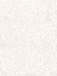 ���� ��������� �� ��������� Prima Italiana Ortisei (1,06�10) �������, ������� 80536 (���.)