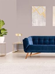 ���� ������������ Hygge 77 Colors C3 01 (1,00�10,05) ����� (���.)