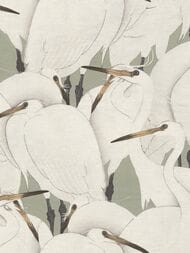     Rasch Kimono (0,5310,05) ,  409543 (.)