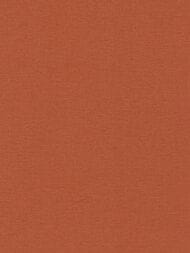 ���� ��������� �� ��������� Rasch Country Charme (0,53�10,05) �����, ��������� 449051 (���.)