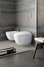 Сиденье для унитаза Geberit Citterio с микролифтом, петли металлические 500.540.01.1